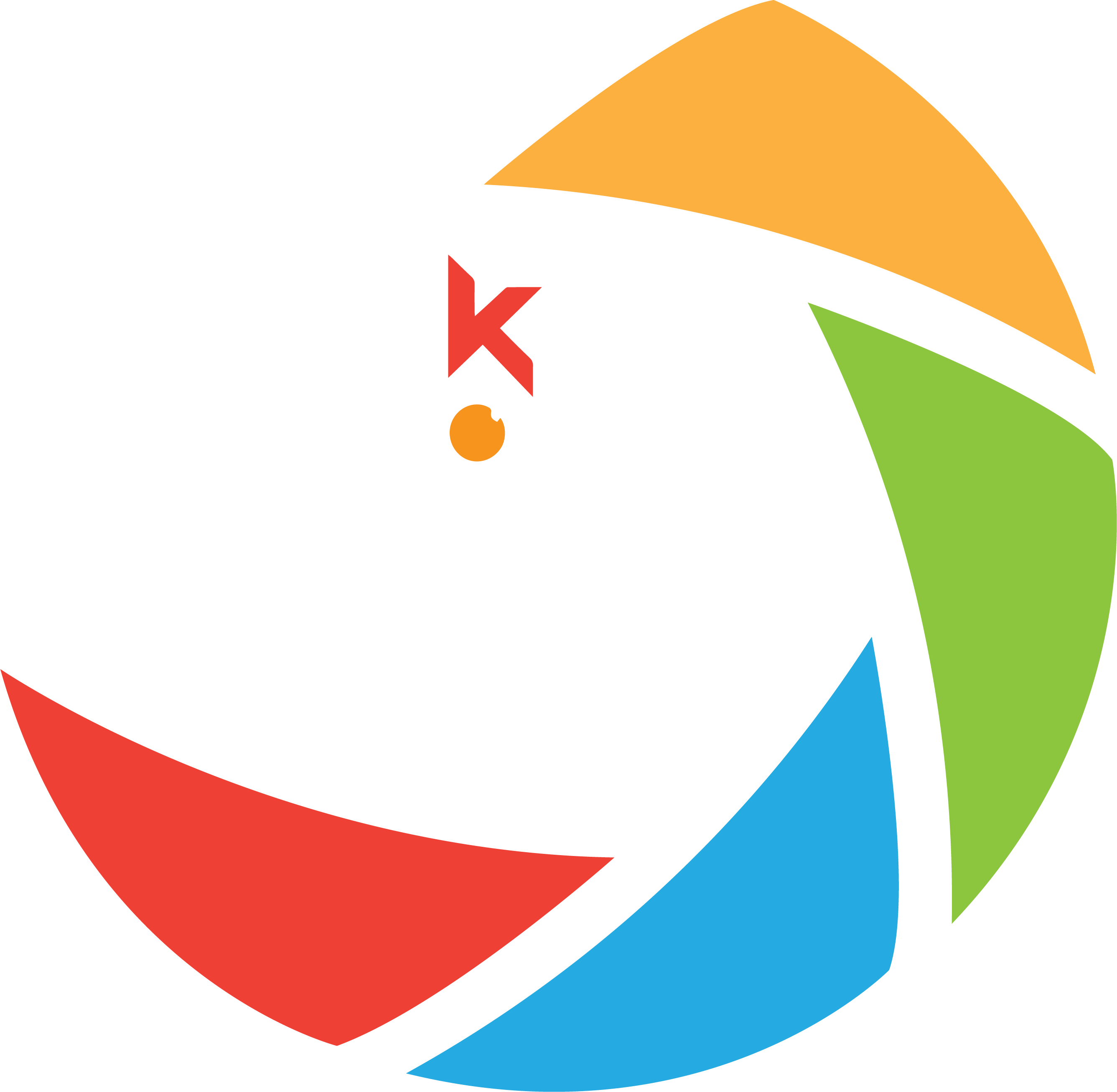 KEMERA WALE logo